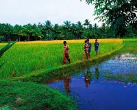 गरीबी-मुक्त भारत का सपना, केरल ने दिखाया रास्ता